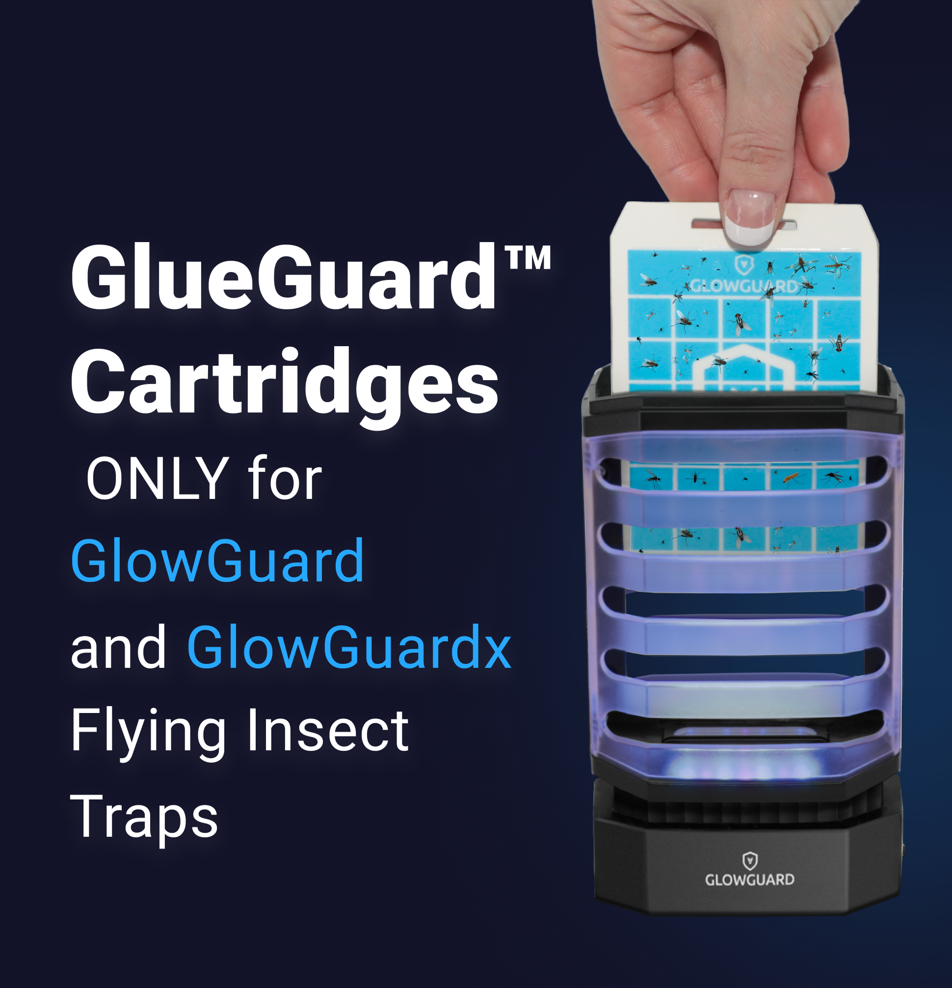 5-Pack Refill Sticky Pads for GlowGuard Cordless Flying Insect Trap (Device NOT Included), Non-Toxic, No Chemicals