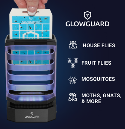 GlowGuard Cordless Flying Insect Trap | Traps Fruit Flies, Gnats, Moths, & Mosquitos | 1 Trap+ 4 Refills